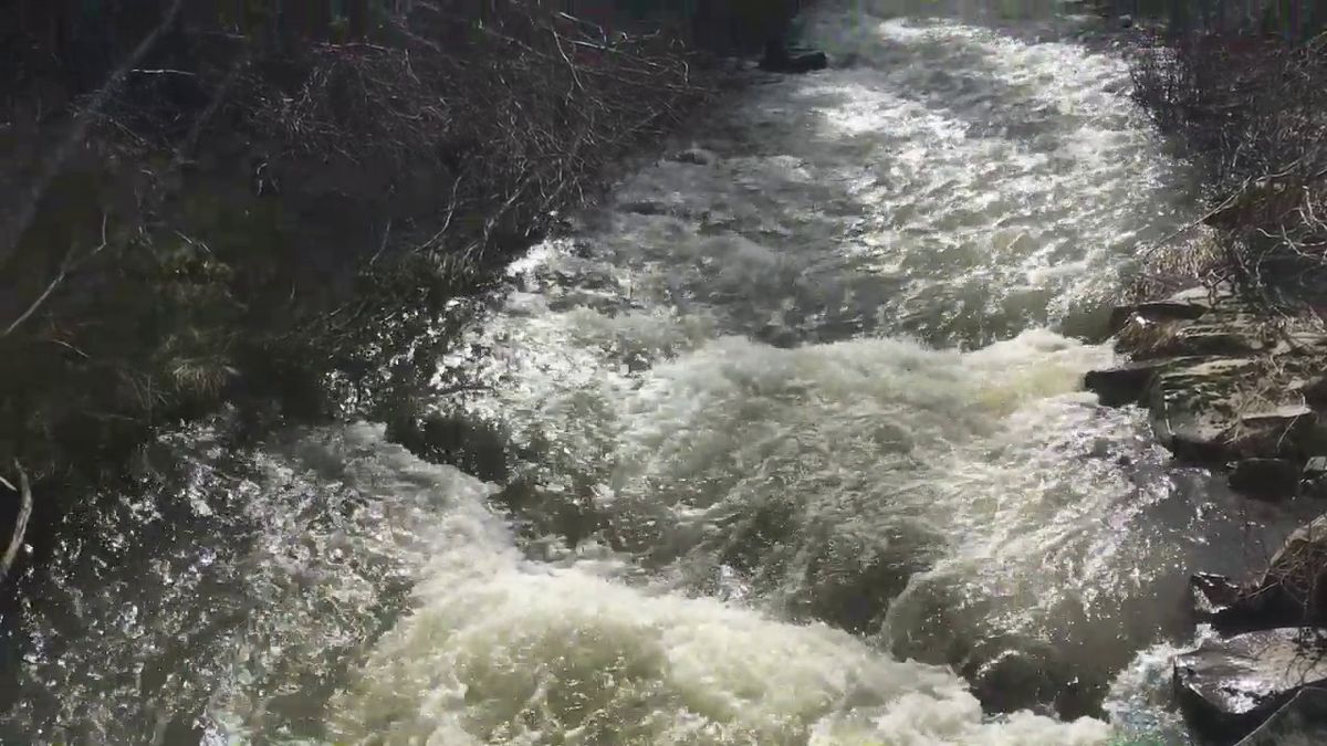 Benewah Creek