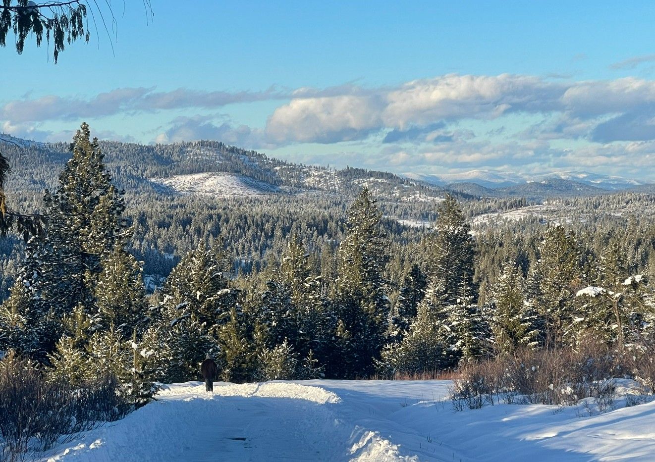 The 2 mile private access road in winter