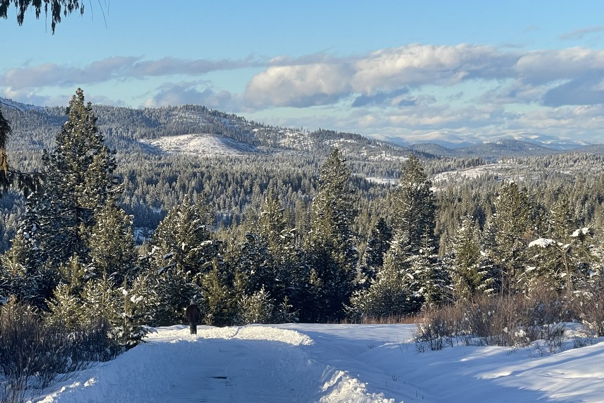 Winter - private access road hike