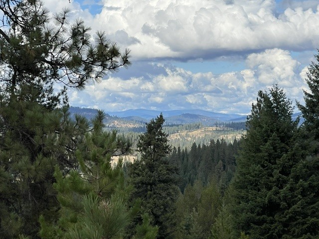 Panoramic amphitheater view from the rear porch